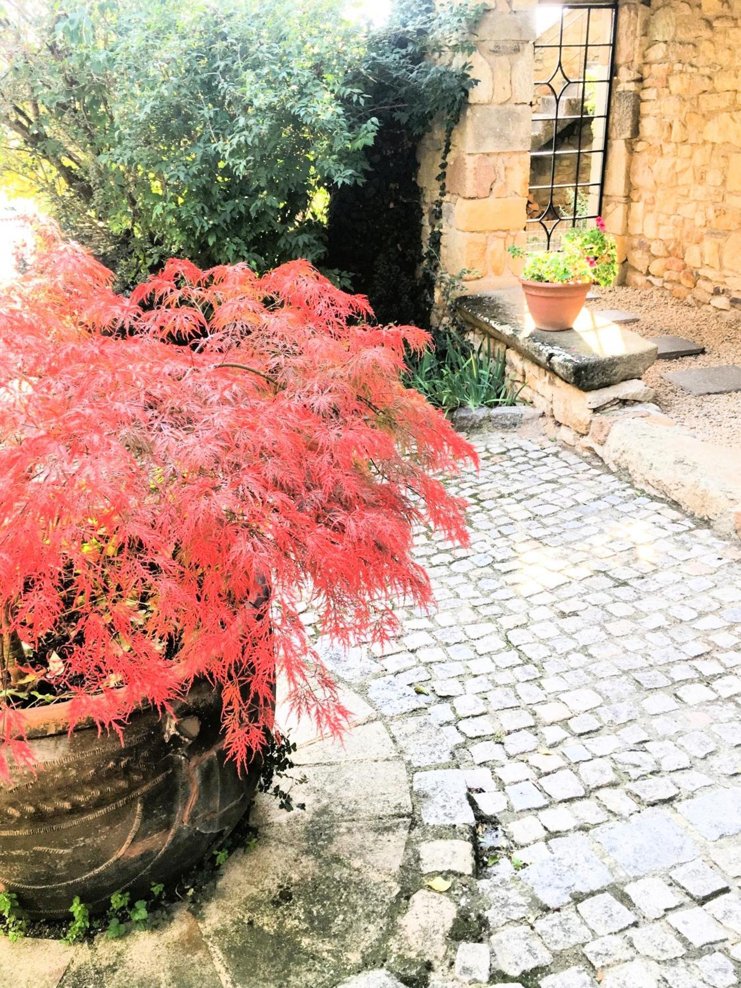 La Charmeraie Montpeyroux  외부 사진